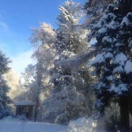 The Beeches Studio, Highlands Of Scotland Newtonmore Exterior foto
